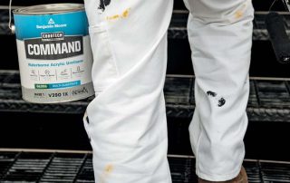 Paint and Heat - Command Paint Product