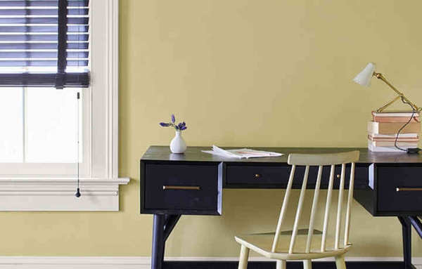 Best Paint Colors To Improve Your Zoom Meeting - Texas Paint and Supply  Dallas