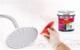 The Importance of Using Mold Killing Primer Before Painting